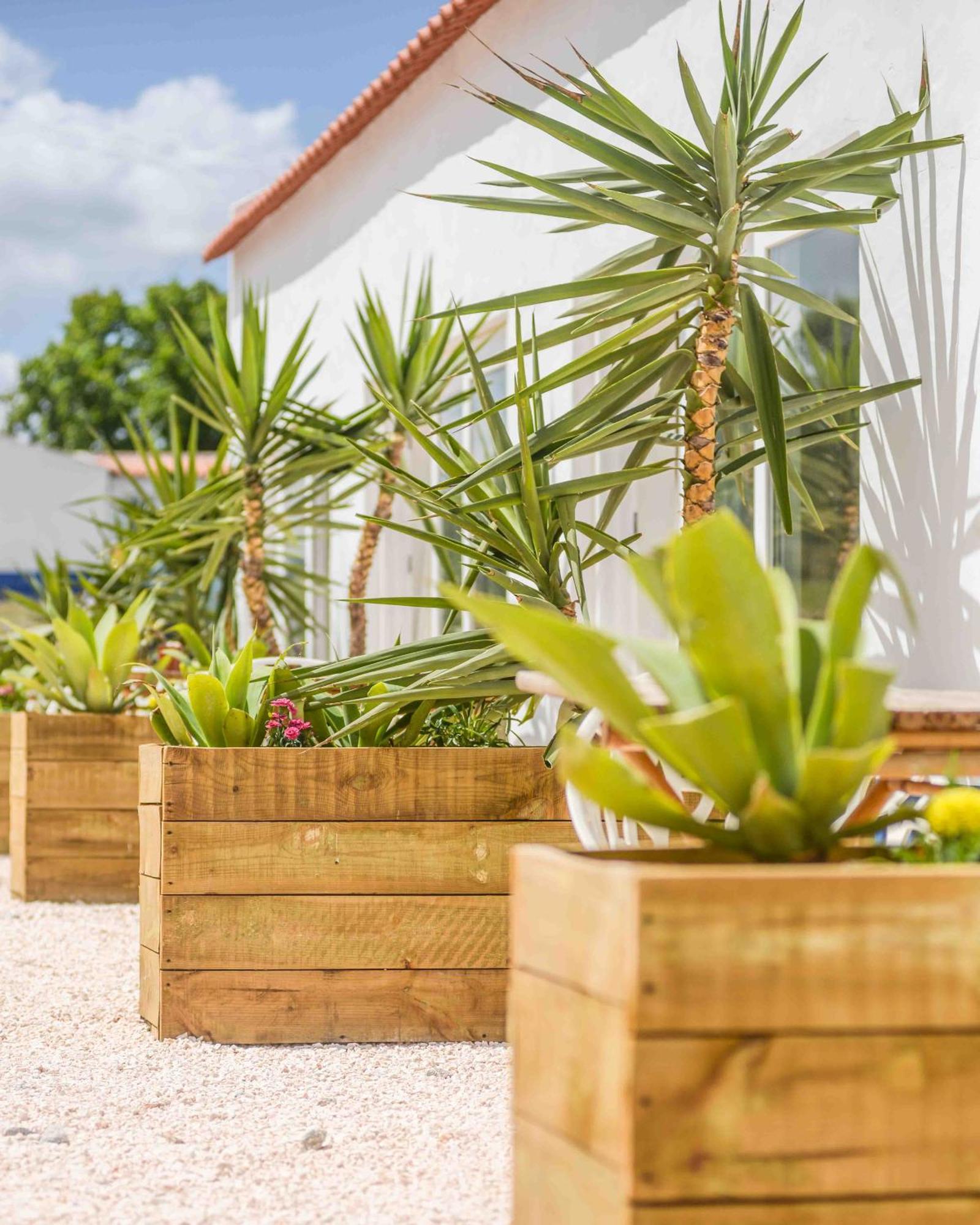 Valle D'Agua - Casas De Campo Vale de Agua Ngoại thất bức ảnh