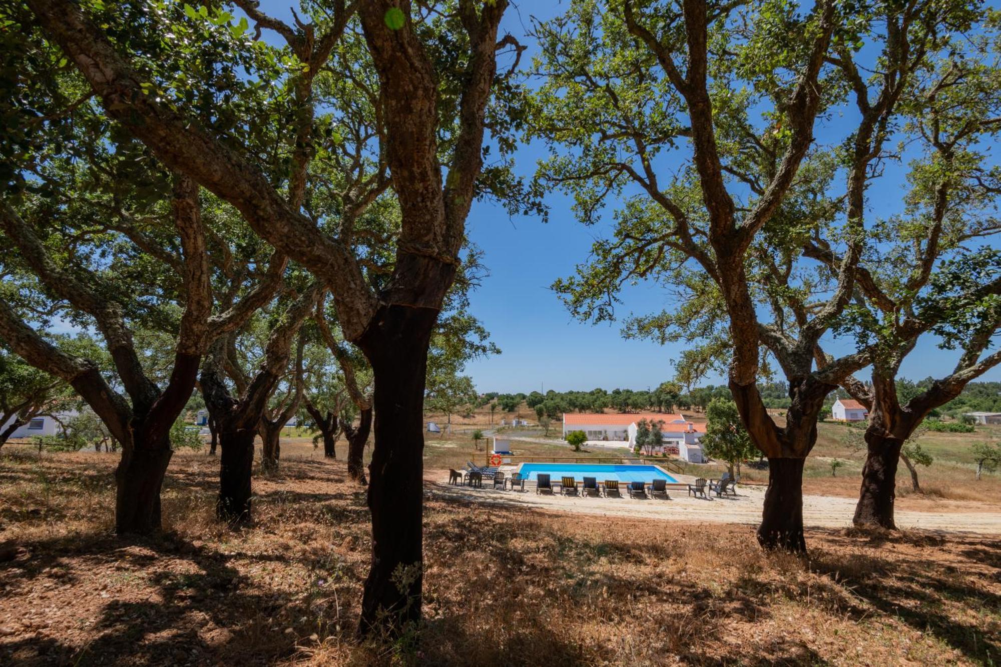 Valle D'Agua - Casas De Campo Vale de Agua Ngoại thất bức ảnh